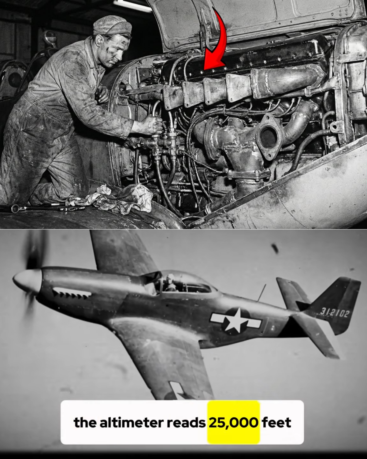 They Called His Engine Swap “Illegal” — Until His P-51 Outran Every Jet at 490 MPH