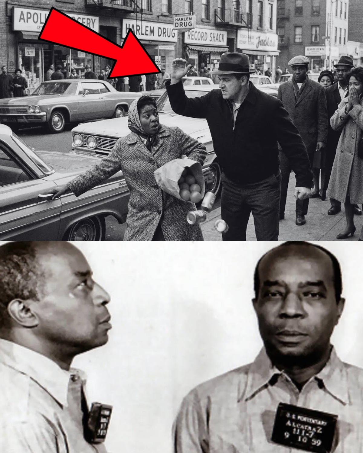 A Mobster SLAPPED Bumpy’s Wife in Public — What Bumpy Sent Him Made the ENTIRE Family RETREAT