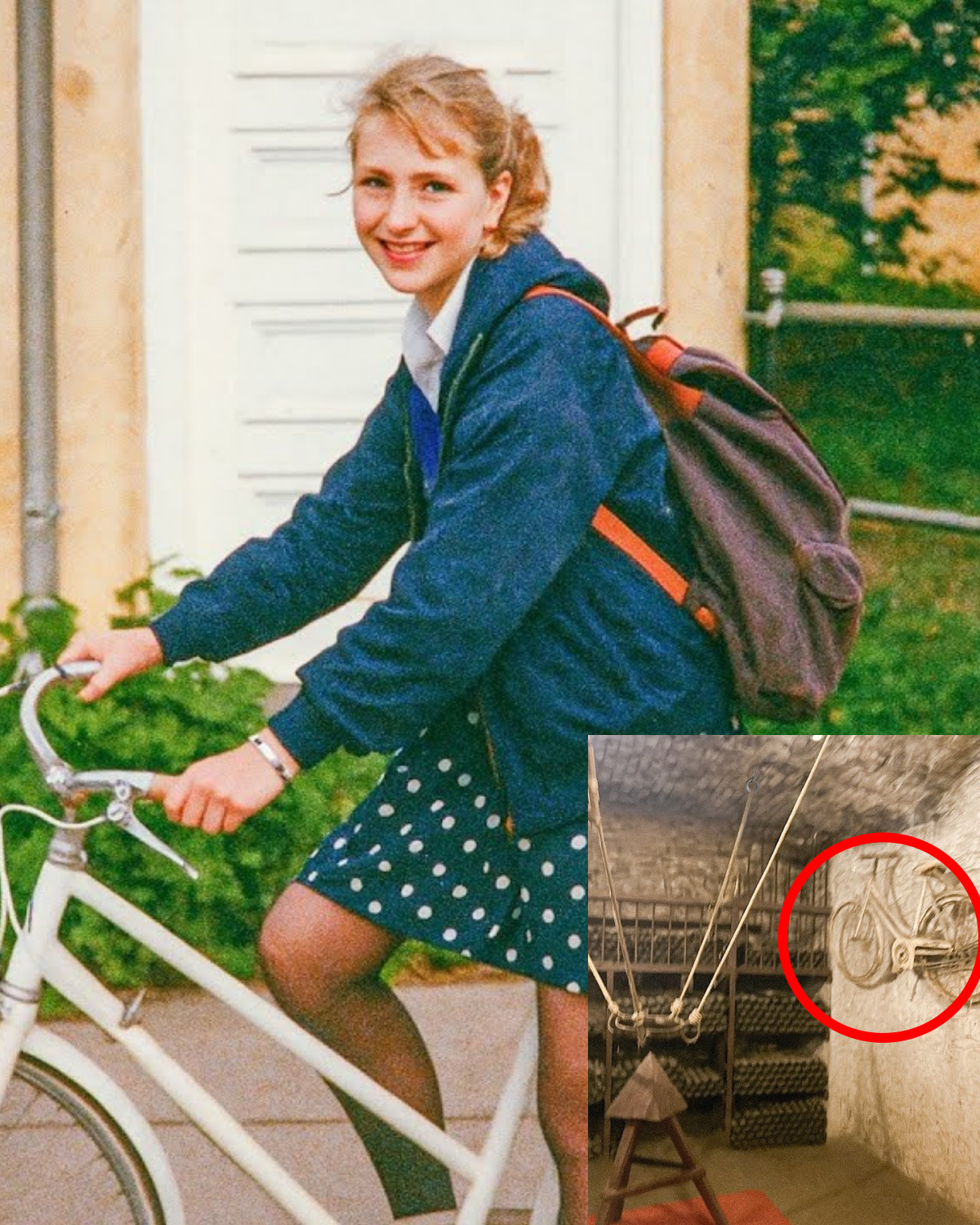 Student Vanished on Ride to School in 1988, 14 Years Later a Wine Cellar Reveals…