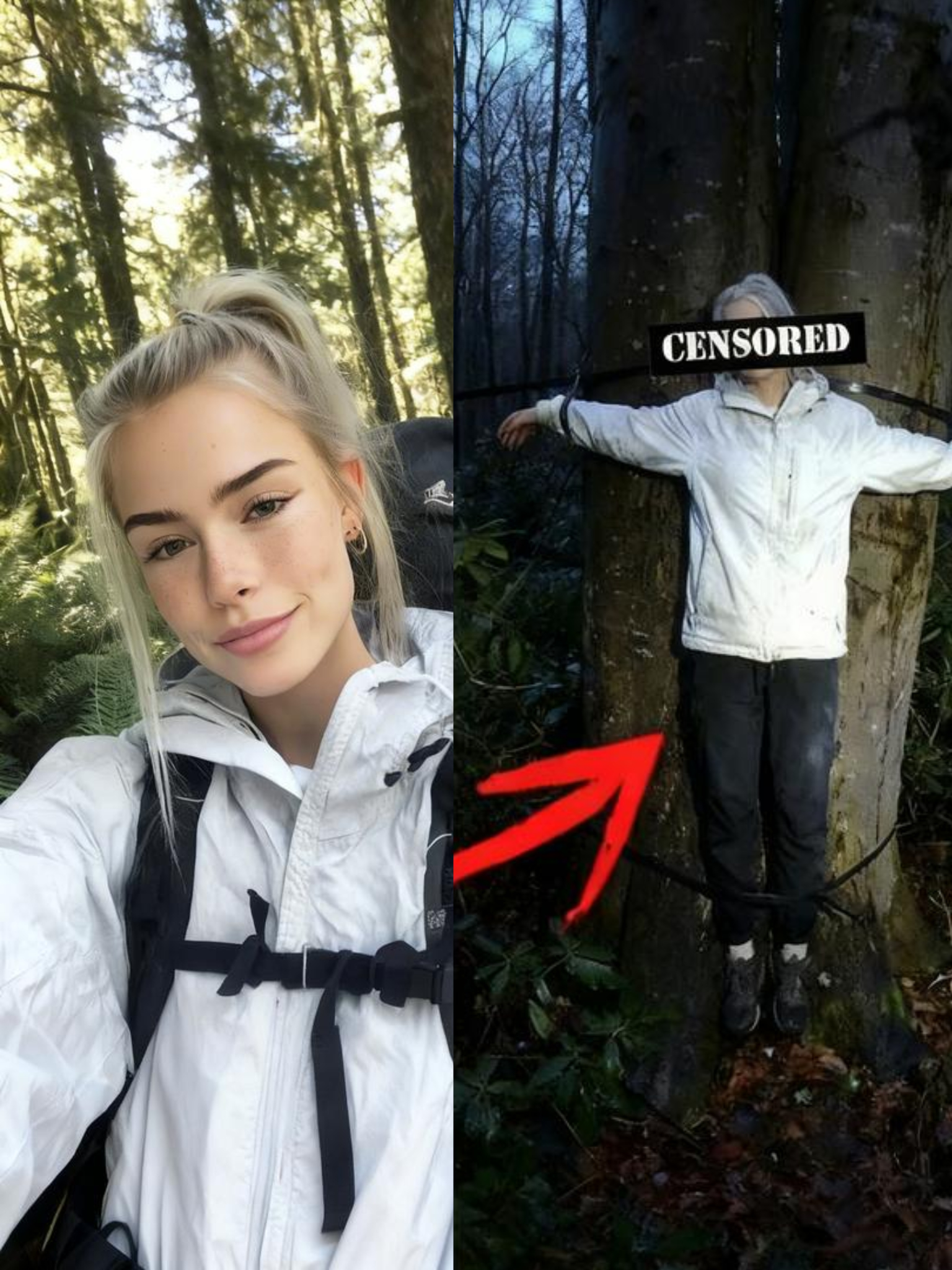 Girl Vanished on Appalachian Trail — Found 3 Weeks Later TIED To A Tree In Deep Forest…