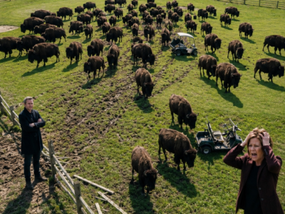 The HOA Tore Down My Father’s Bison Gates Before Their Charity Tournament—Then 240 Bison Flooded the Golf Course and Exposed Who Really Owned the Land