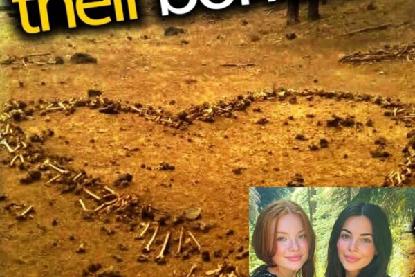 TWO BEST FRIENDS VANISHED IN THE GRAND CANYON—SEVEN YEARS LATER, A CAMERA FOUND INSIDE A HIDDEN CAVE REVEALED WHY ONLY ONE OF THEM RETURNED