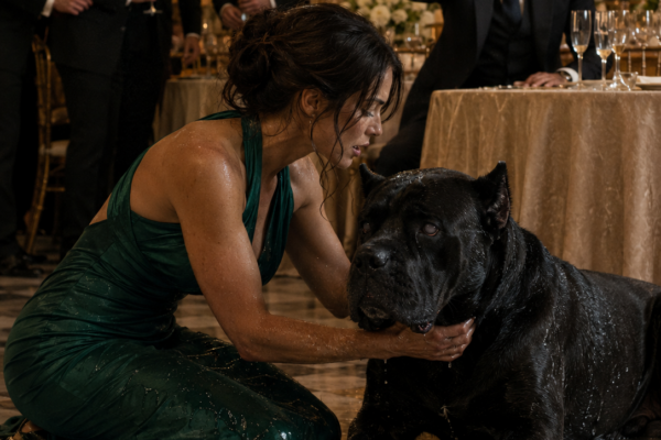 A Blind Dog Was Deliberately Doused in Champagne at a Mafia Gala—Then Dog Trainer Marla Whitcomb Calmed Him, Marcello Vieri Locked Two Hundred Guests Inside, and Rook’s Nose Began Uncovering a Betrayal That Reached Past the Don’s Godfather and Straight Into His Own Bloodline