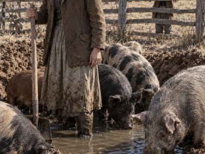 They Laughed When the Widow Spent Her Last $25 on Eighty Starving Hogs—Until the Animals Tore Open Her Worthless Clay, Found Water Beneath a Dying Valley, and Forced the Man Who Called Her Purchase a Funeral to Fight Her for What They Had Uncovered
