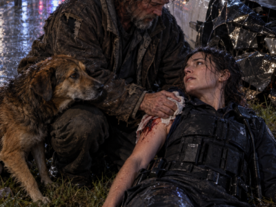Homeless and Hungry, Daniel Saw a Police Cruiser Smoking in the Rain — Then His Dog Led Him to a Bleeding Officer Inside, and the Man Who Had Every Reason to Fear the Police Chose to Stay Until Help Arrived